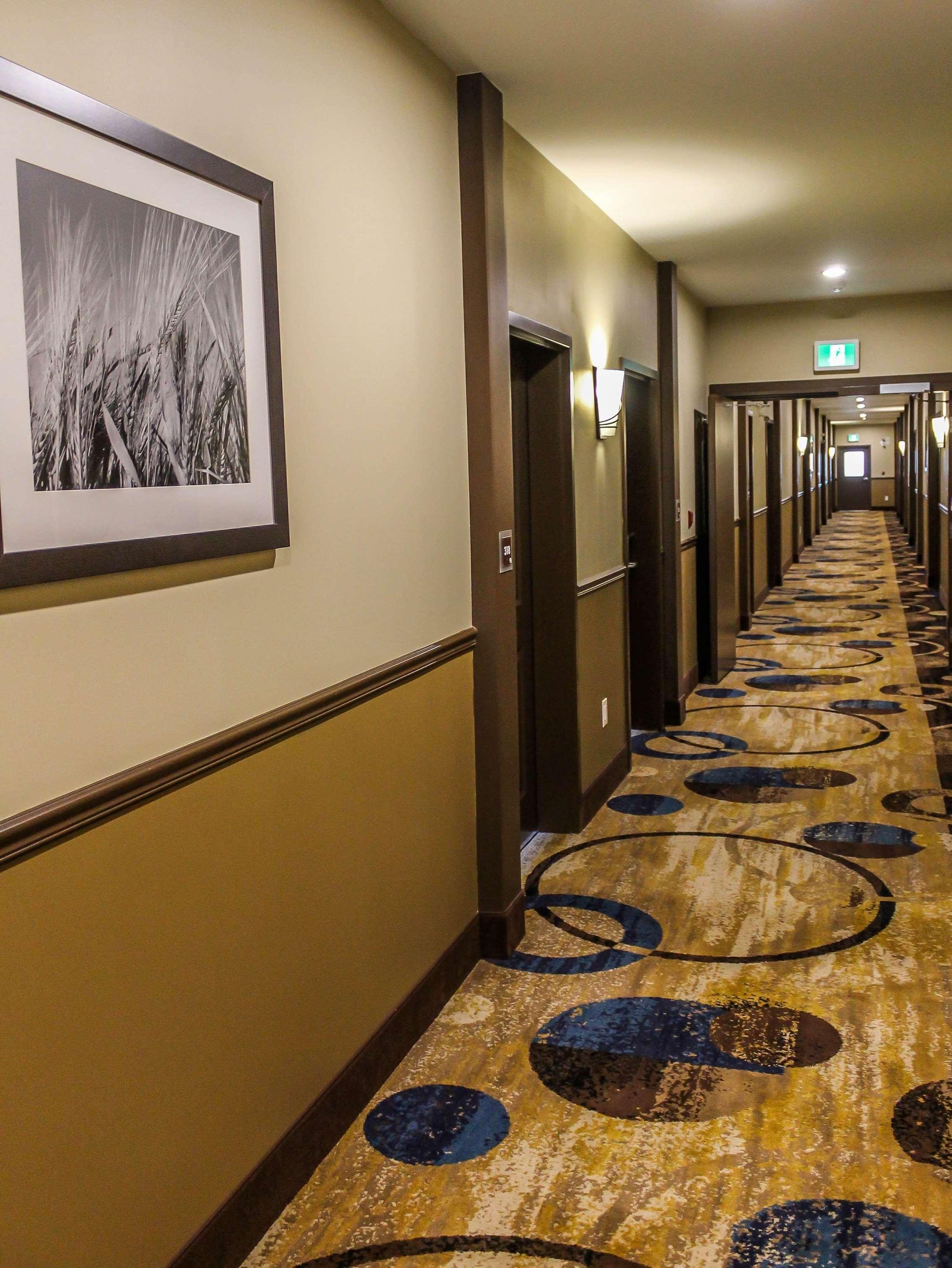 Best Western Plus Moosomin Hotel Buitenkant foto